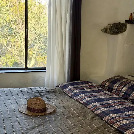 Host4u - Cozy Retreat In Trincheri, Relais Oliva アパート Bellissimi