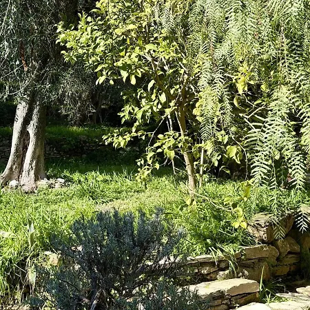 Host4u - Cozy Retreat In Trincheri, Relais Oliva * Bellissimi