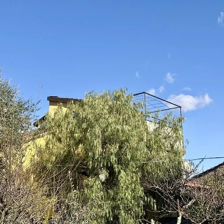 Host4u - Cozy Retreat In Trincheri, Relais Oliva Apartment Bellissimi