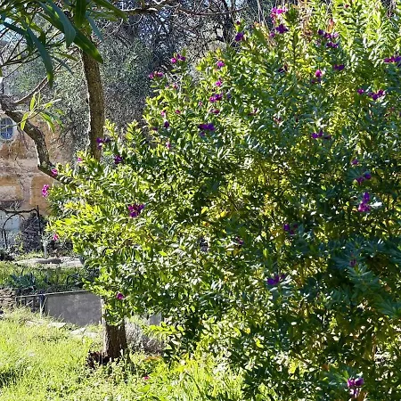 Host4u - Cozy Retreat In Trincheri, Relais Oliva アパート