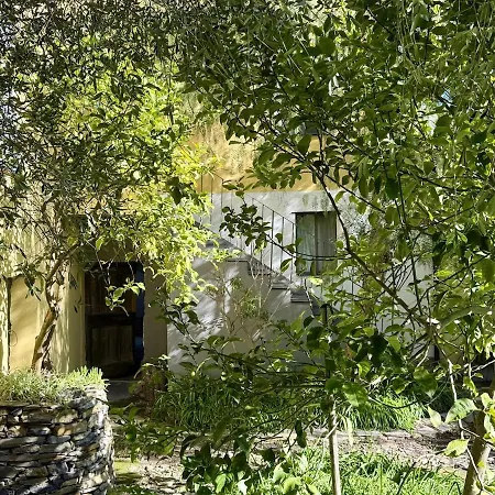 Host4u - Cozy Retreat In Trincheri, Relais Oliva Apartment Bellissimi